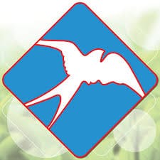 King - Xuân Thịnh